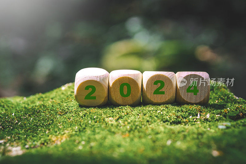 ESG理念，可持续发展目标开启新的一年，实现企业目标，环境(sdg)绿色森林的理念，可持续发展目标，ESG, NetZero和二氧化碳的概念